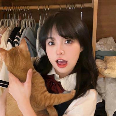合子异种