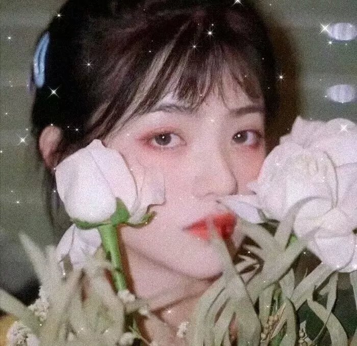 冒牌搭档